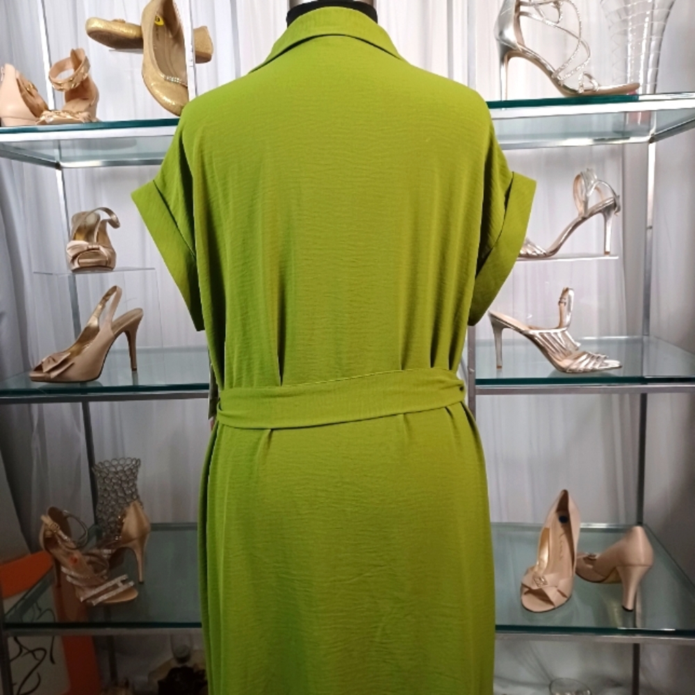 Button-Front Tie-Waist Maxi Dress in Lime Green - Picture 10 of 15